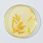 Pro Lift 3 Anti-Wrinkle Cream